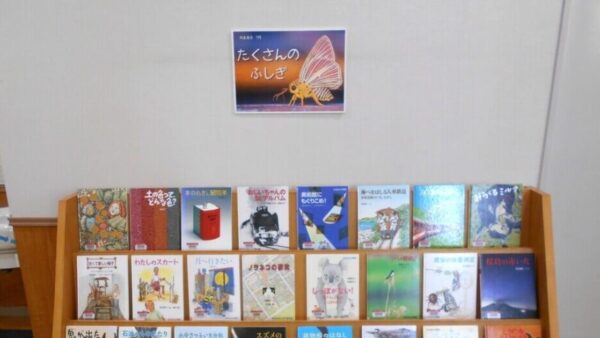 7月の児童展示は「たくさんのふしぎ」
